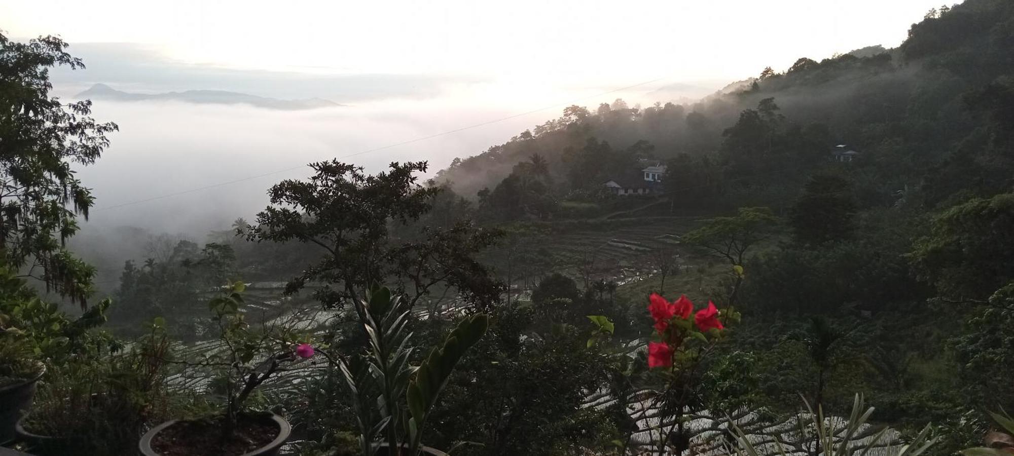 Kandy Ivy Mountain View Resort Номер фото