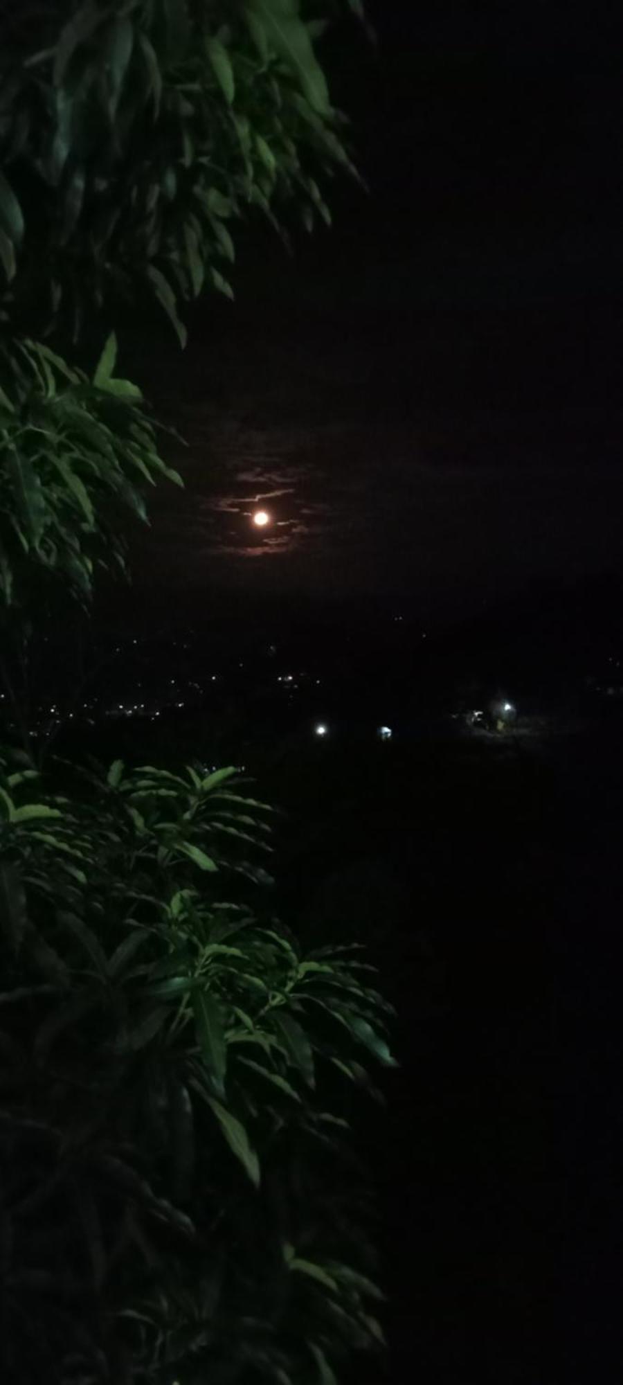 Kandy Ivy Mountain View Resort Номер фото